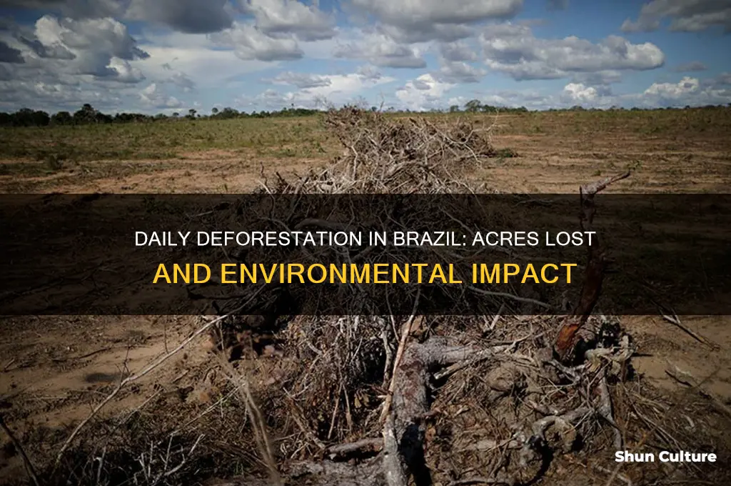 how many acres are destroyed in brazil everyday