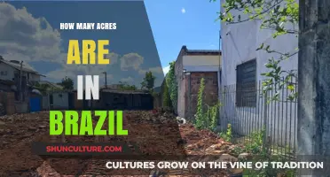 Exploring Brazil's Land: Understanding the Acreage of a Vast Nation