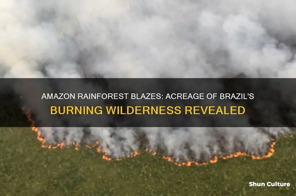 how many acres are on fire in amazon brazil