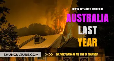 Australia's Devastating Wildfires: Acreage Lost in the 2022 Blazes