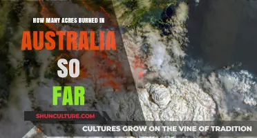 Australia's Bushfires: Devastating Loss of Nature's Acres