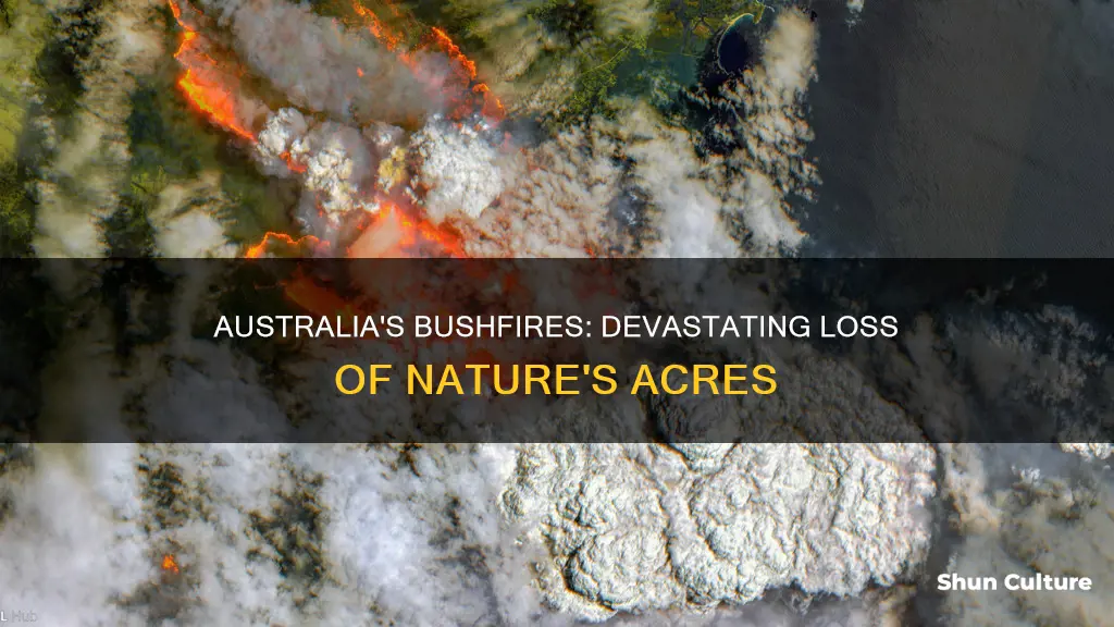 how many acres burned in australia so far