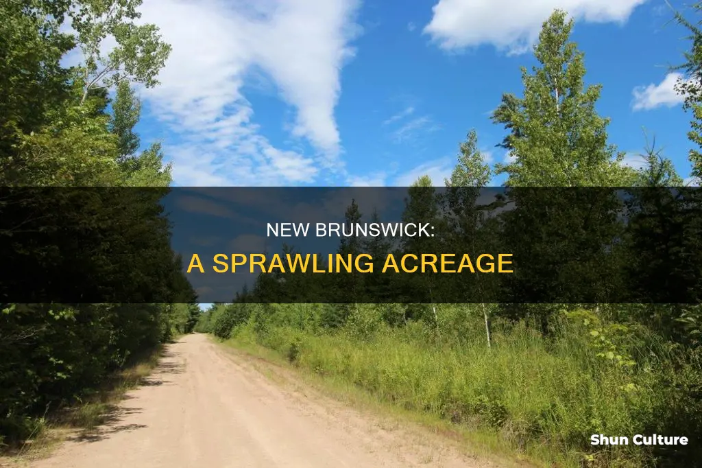 how many acres is new brunswick