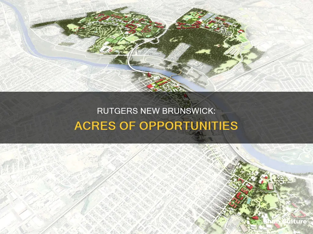 how many acres is rutgers new brunswick