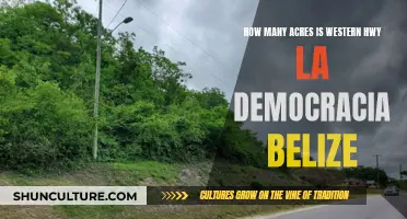 The Western Highway's Land Legacy in La Democracia, Belize