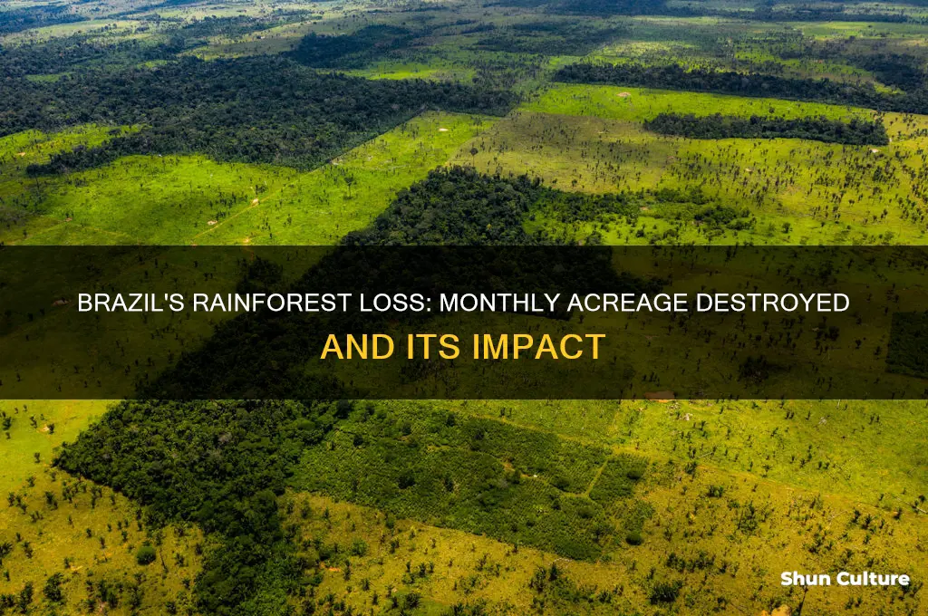 how many acres of brazil rainforest are destroyed each month