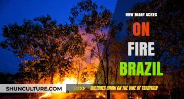 Brazil's Burning Crisis: Acreage of Devastating Wildfires Explained