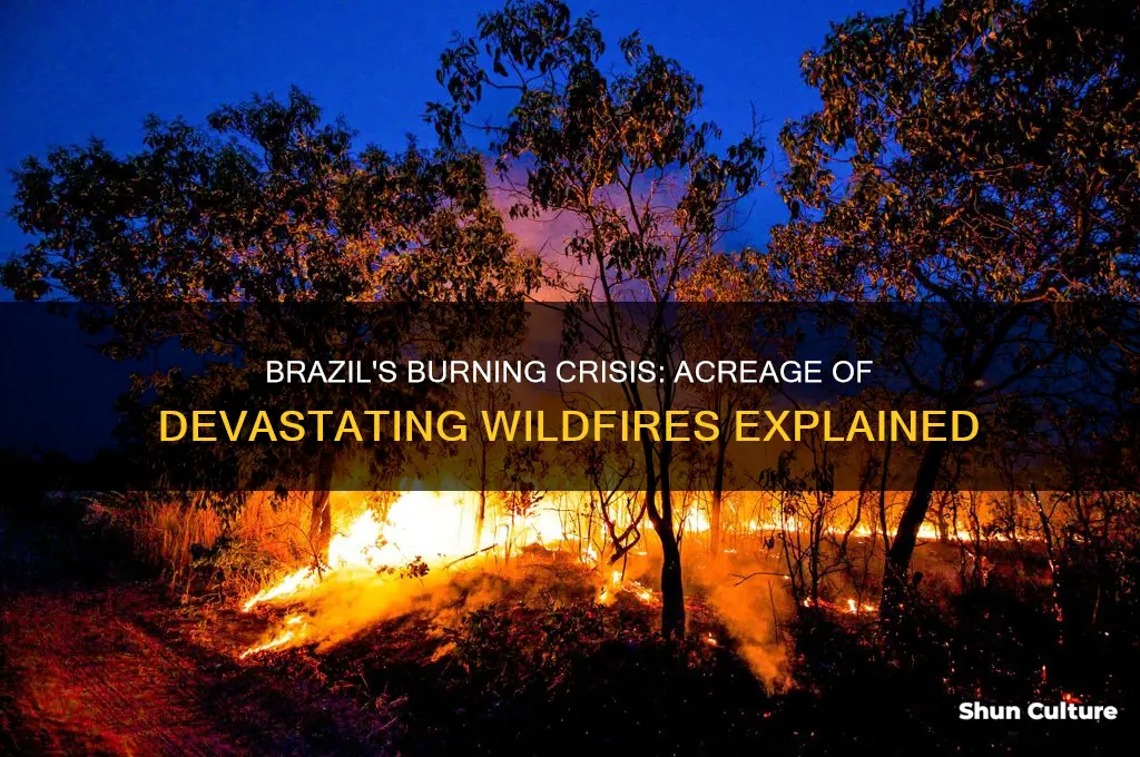 how many acres on fire brazil