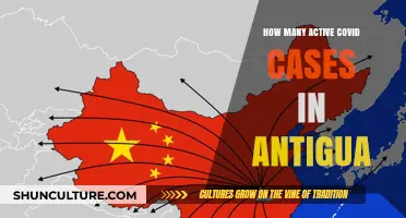 Current COVID-19 Cases in Antigua: Latest Updates and Statistics