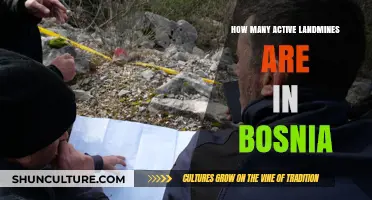 Bosnia's Hidden Threat: The Lingering Danger of Active Landmines