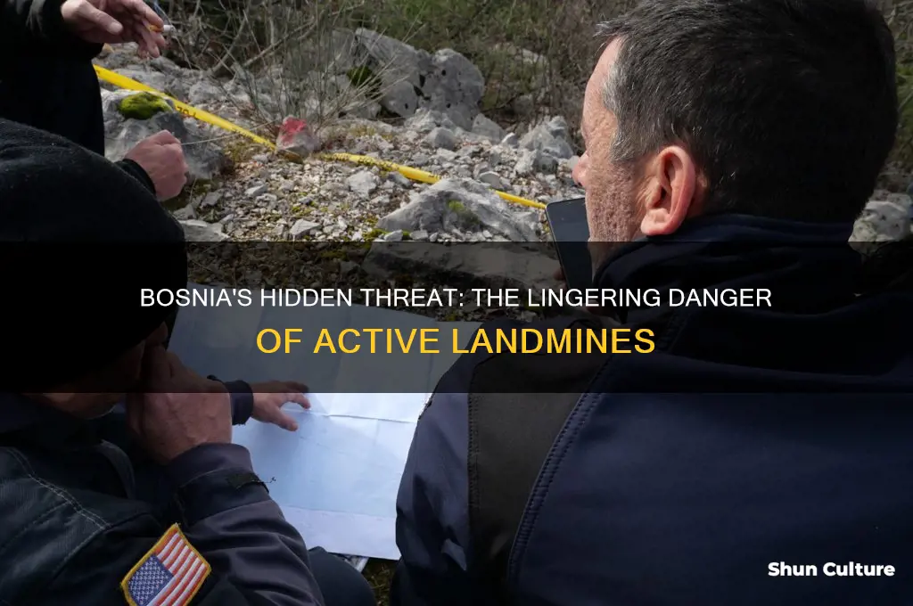 how many active landmines are in bosnia