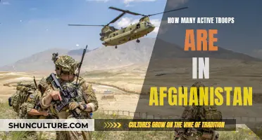 Lingering Military Presence: Examining the Number of Active Troops in Afghanistan