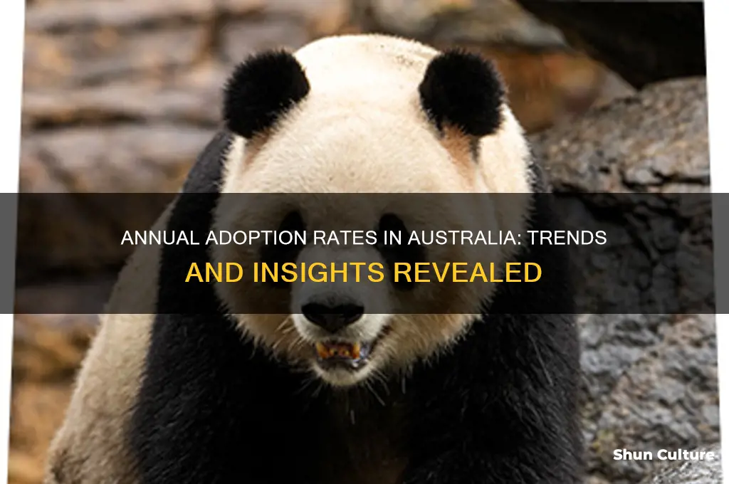 how many adoptions per year in australia
