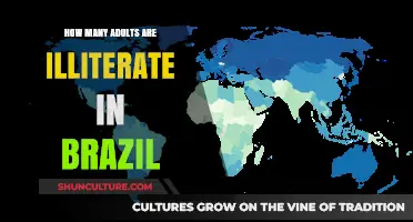 Illiteracy in Brazil: Understanding the Scope of Adult Literacy Challenges