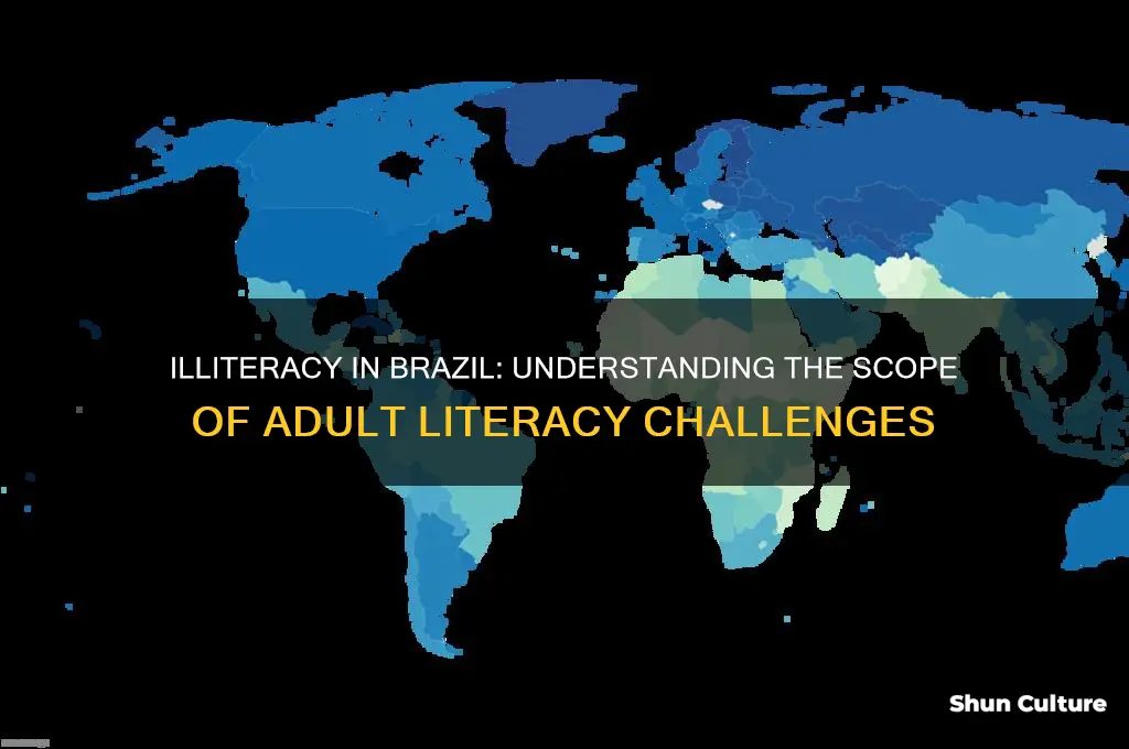 how many adults are illiterate in brazil