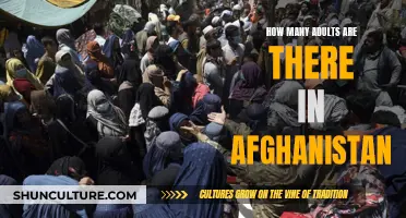 The Elusive Adult Population of Afghanistan: Unraveling the Unknown Numbers