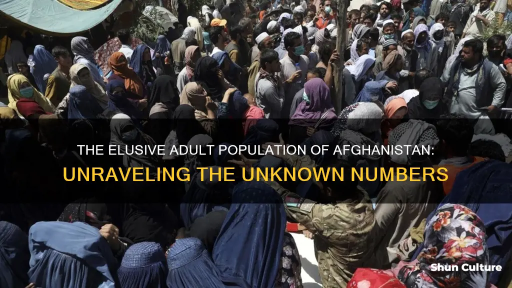 how many adults are there in afghanistan