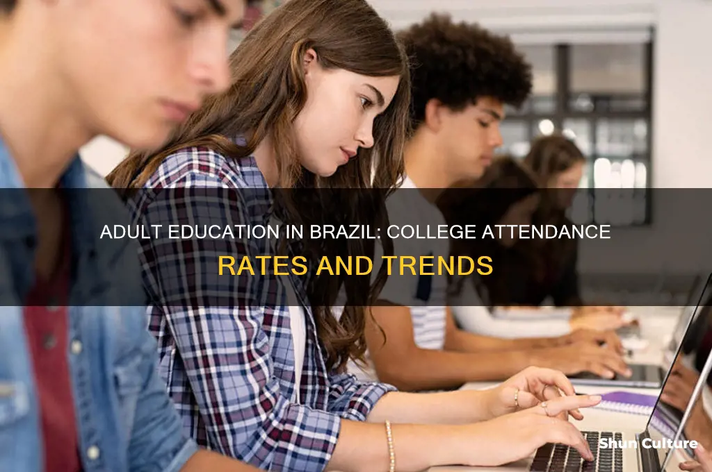 how many adults go to college in brazil