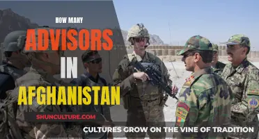 Advisory Presence: Examining the Number of Foreign Advisors in Afghanistan