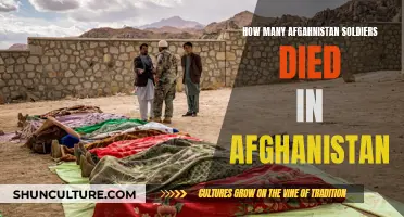 The Human Cost of War: Afghanistan's Fallen Soldiers