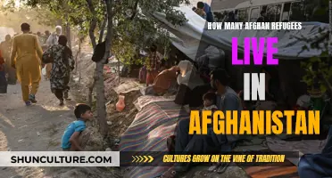 A Nation of Refugees: Afghanistan's Ongoing Displacement Crisis