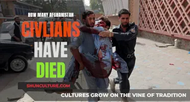 The Human Toll of War: Counting Afghanistan's Dead Civilians