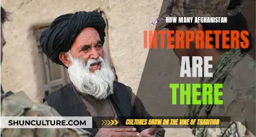 Interpreting a Crisis: The Plight of Afghanistan's Linguistic Bridge