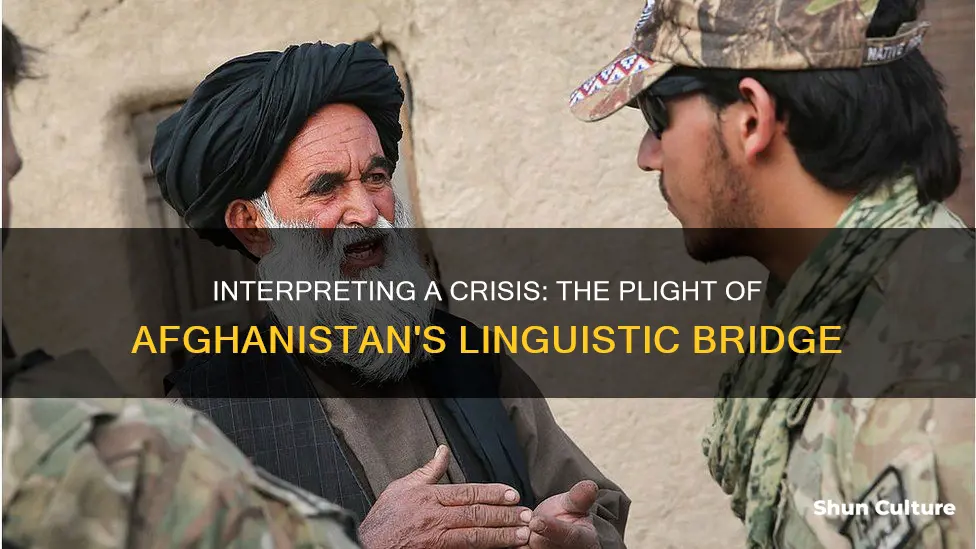 how many afghanistan interpreters are there