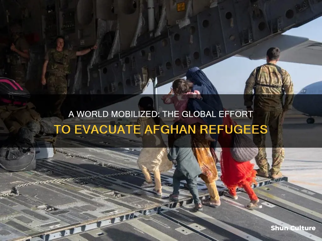 how many afghanistan refugees have been evacuated