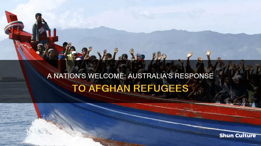 how many afghanistan refugees in australia