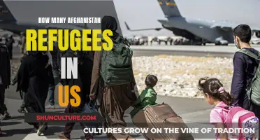 A New Chapter: Afghan Refugees in the US and Their Road to Integration