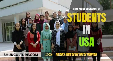 A World of Opportunity: Afghan Students in the USA