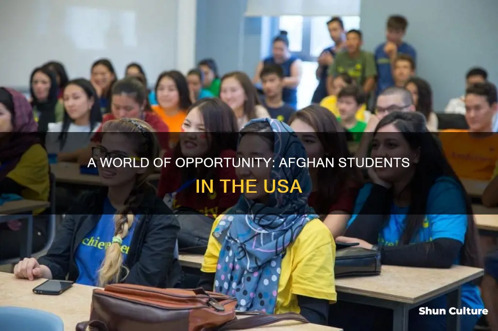 how many afghanistan students in usa