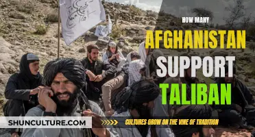 Afghanistan's Complex Relationship with the Taliban: Understanding Public Sentiment