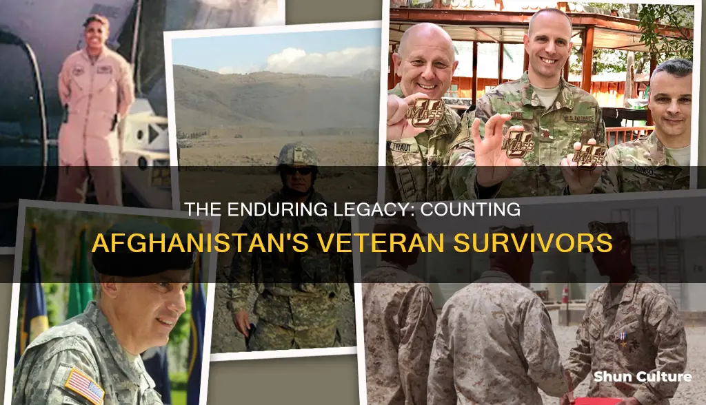 how many afghanistan veterans are still alive