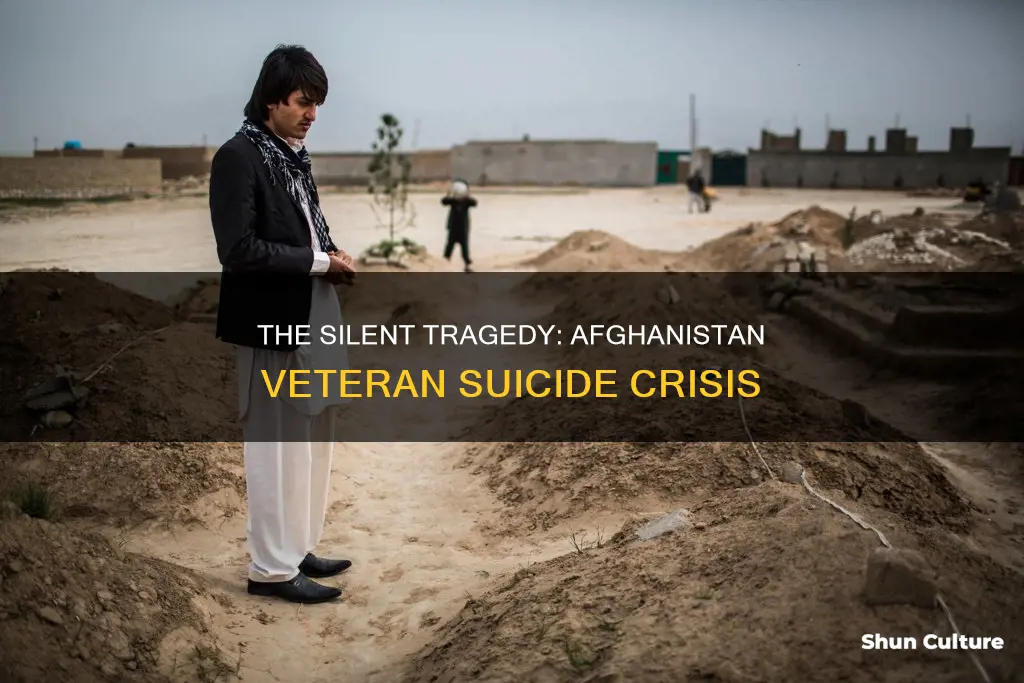 how many afghanistan veterans have committed suicide