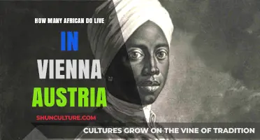 Exploring Vienna's African Community: A Demographic Journey