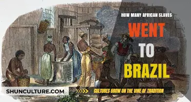 The Untold Story of African Slaves Transported to Brazil