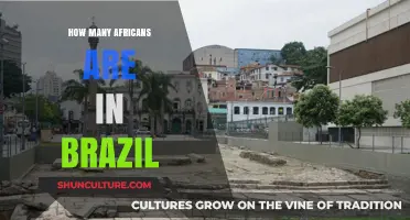 Exploring Brazil's African Heritage: Population Insights and Cultural Influence