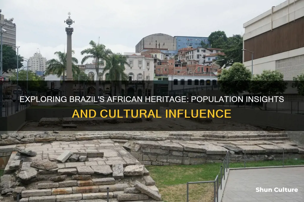 how many africans are in brazil