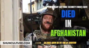 Air Force Security Forces' Sacrifice in Afghanistan: A Human Cost