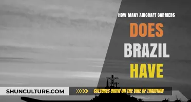 Brazil's Naval Power: Exploring Its Aircraft Carrier Fleet and Capabilities