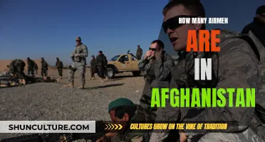 Airpower Over Afghanistan: Examining the US Air Force's Presence