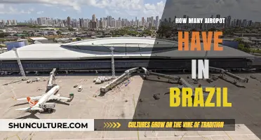 Exploring Brazil's AIRO Ports: A Comprehensive Count and Overview