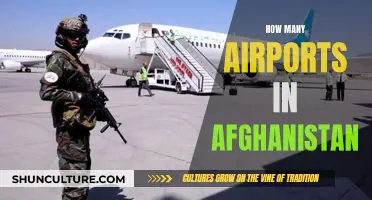 Afghanistan's Aviation Network: A Complex Web of Airports