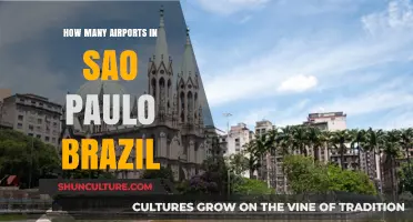 Exploring São Paulo's Airports: A Comprehensive Guide to Brazil's Hubs