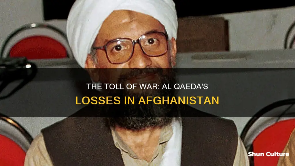 how many al qaeda have been killed in afghanistan