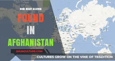 Algerian Presence in Afghanistan: Uncovering the Surprising Connections