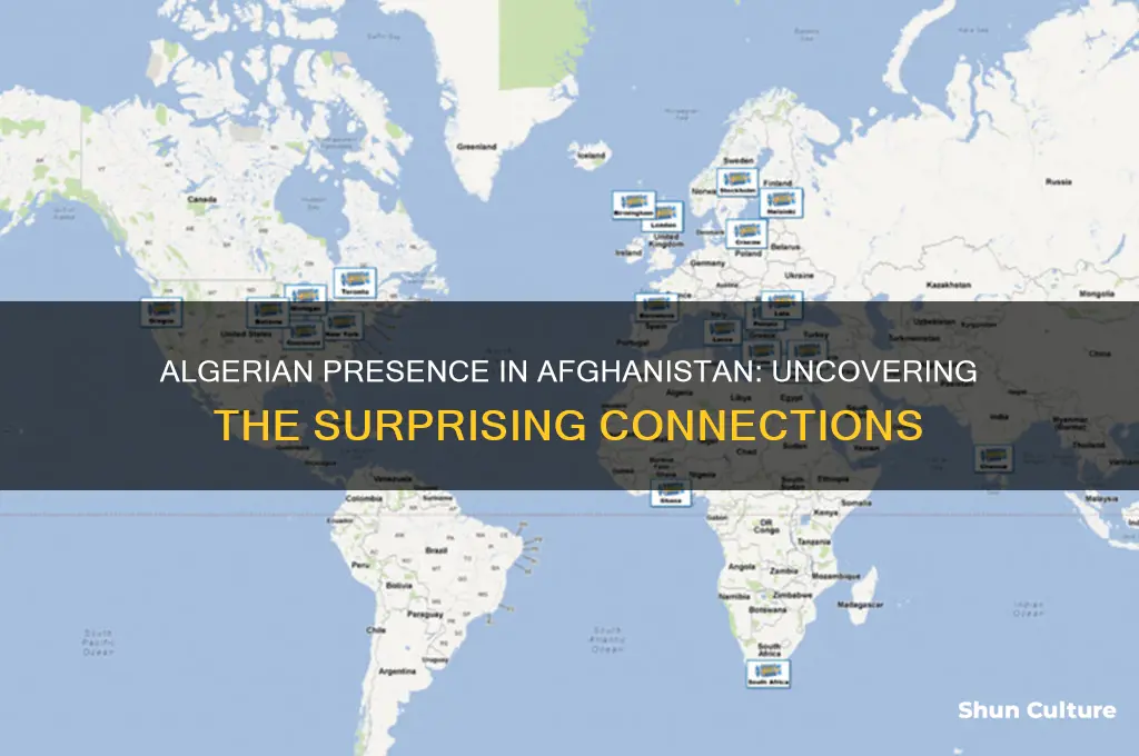 how many algeria found in afghanistan