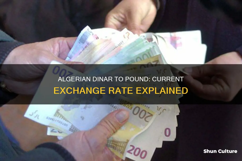 how many algerian dinar to the pound